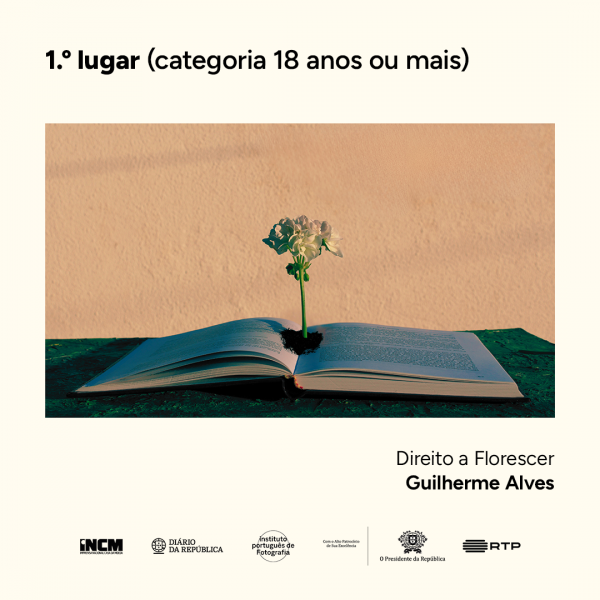 PremioVencedores7